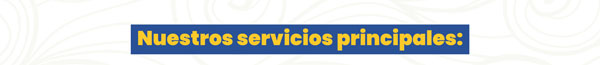 Nuestros servicios principales: